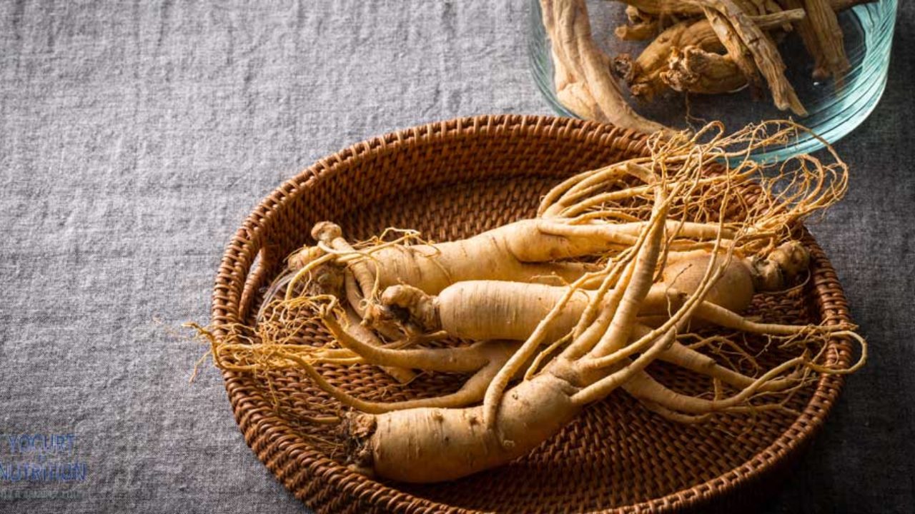 Adding ginseng to yogurt or milk may boost their health benefits - Yogurt in Nutrition