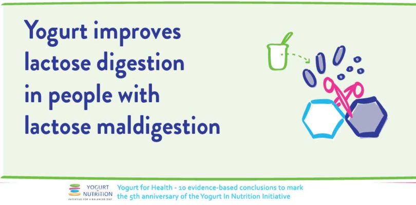 yogurt improves lactose digestion