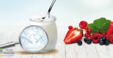 Yogurt bacteria and gut health