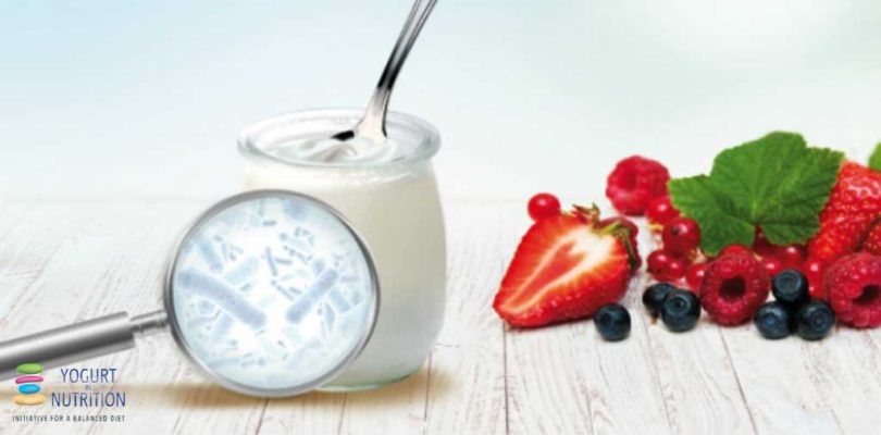 Yogurt bacteria and gut health