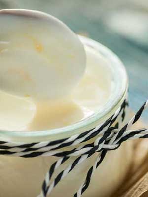 hva er gresk yoghurt - YINI