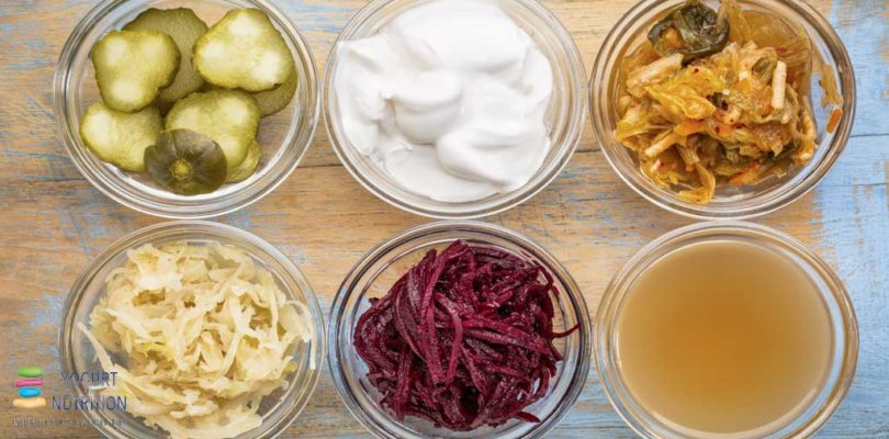 YINI_Which fermented foods contain the most ‘friendly’ bacteria?