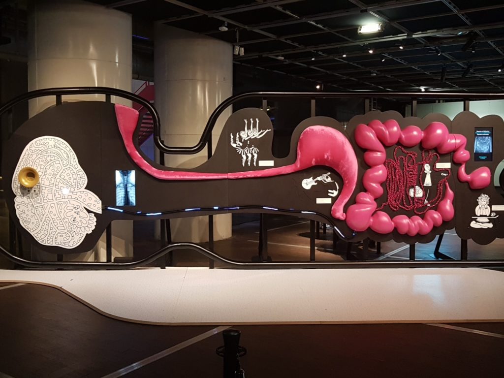 Microbiota exhibition - Cité des Sciences - Paris - the gut brain axis