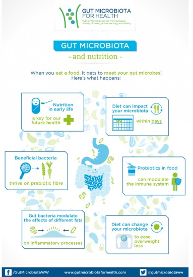 GMFH Infographic : nutrition and gut