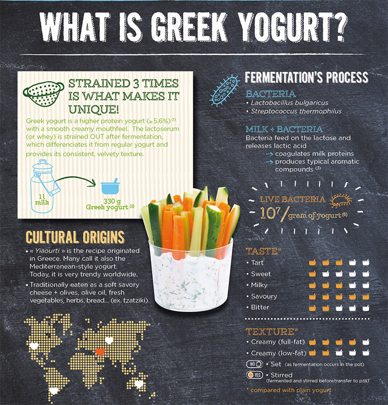 YINI - What is Greek Yogurt ?