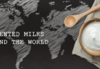 YINI - fermented milks of the world - what is greek yogurt