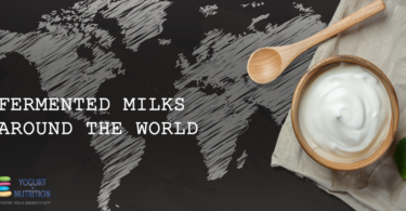 YINI - fermented milks of the world - what is greek yogurt