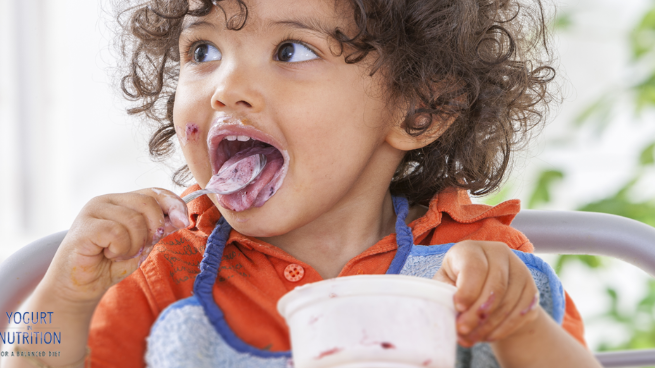 Bienfaits Du Yaourt Dans La Diversification Alimentaire Yogurt In Nutrition