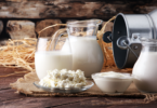 Animal research reveals effect of yogurt on gut bacteria - YINI