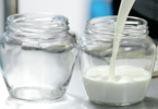 YINI - In short: yogurt making as a learning tool about fermentation