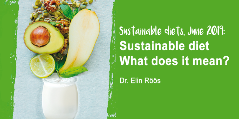 Sustainable diet - what does it mean by Dr Elin Roos - YINI