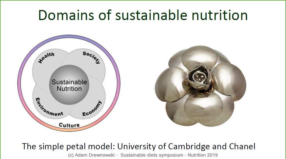 YIN Symposium "Sustainable Diets" A. Drewnowski - the simple petal model