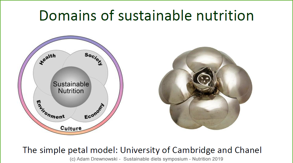 YIN Symposium "Sustainable Diets" A. Drewnowski - the simple petal model 