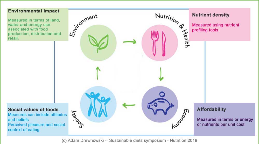 YIN Symposium "Sustainable Diets" A. Drewnowski -4 dimensions of Sustainable diets