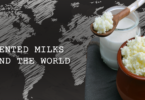 YINI - Fermented milk of the world - What is Kefir