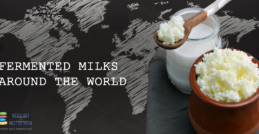 YINI - Fermented milk of the world - What is Kefir