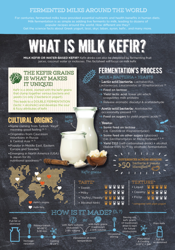 YINI - fermented milk of the world - what is kefir - part 1