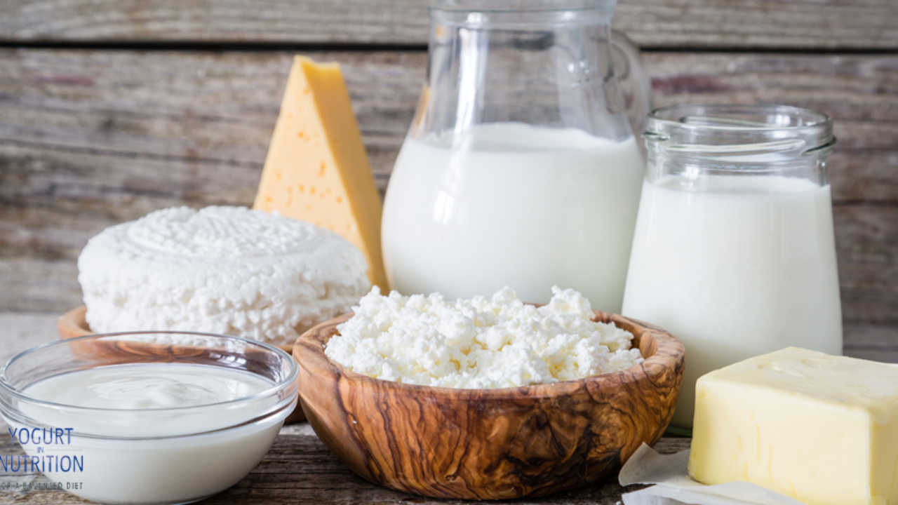 Balancing health and environment: how dairy products tip the scales - Yogurt in Nutrition