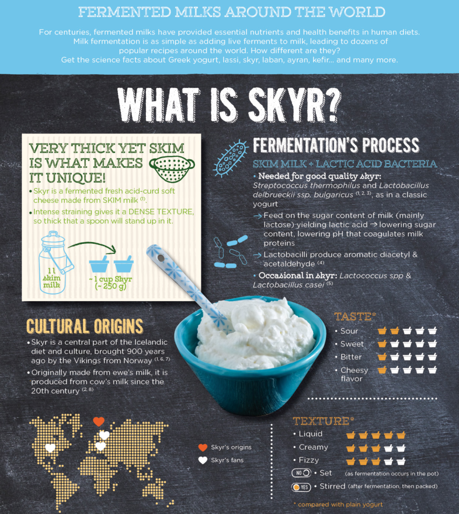 What is skyr - part 1