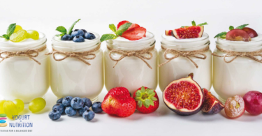 Yogurt, more than the sum of its parts - YINI proceedings