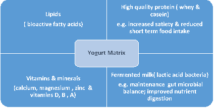 YINI - The yogurt food matrix