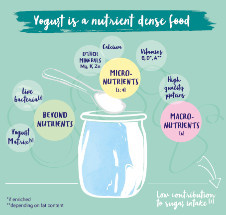 YINI - can yogurt adress malnutrition - Angelo Tremblay