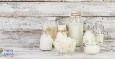 Look back in 2019 - fermented milks around the world and benefits