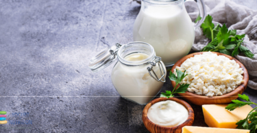 Is there an incidence of dairy foods on diabetes and mortality? 3 new investigations - YINI