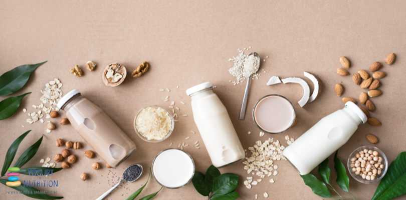 Plant-based alternatives versus dairy milks – is there a place for both in a sustainable diet?