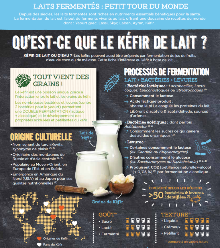 Qu'estceque le Kefir ? Yogurt in Nutrition