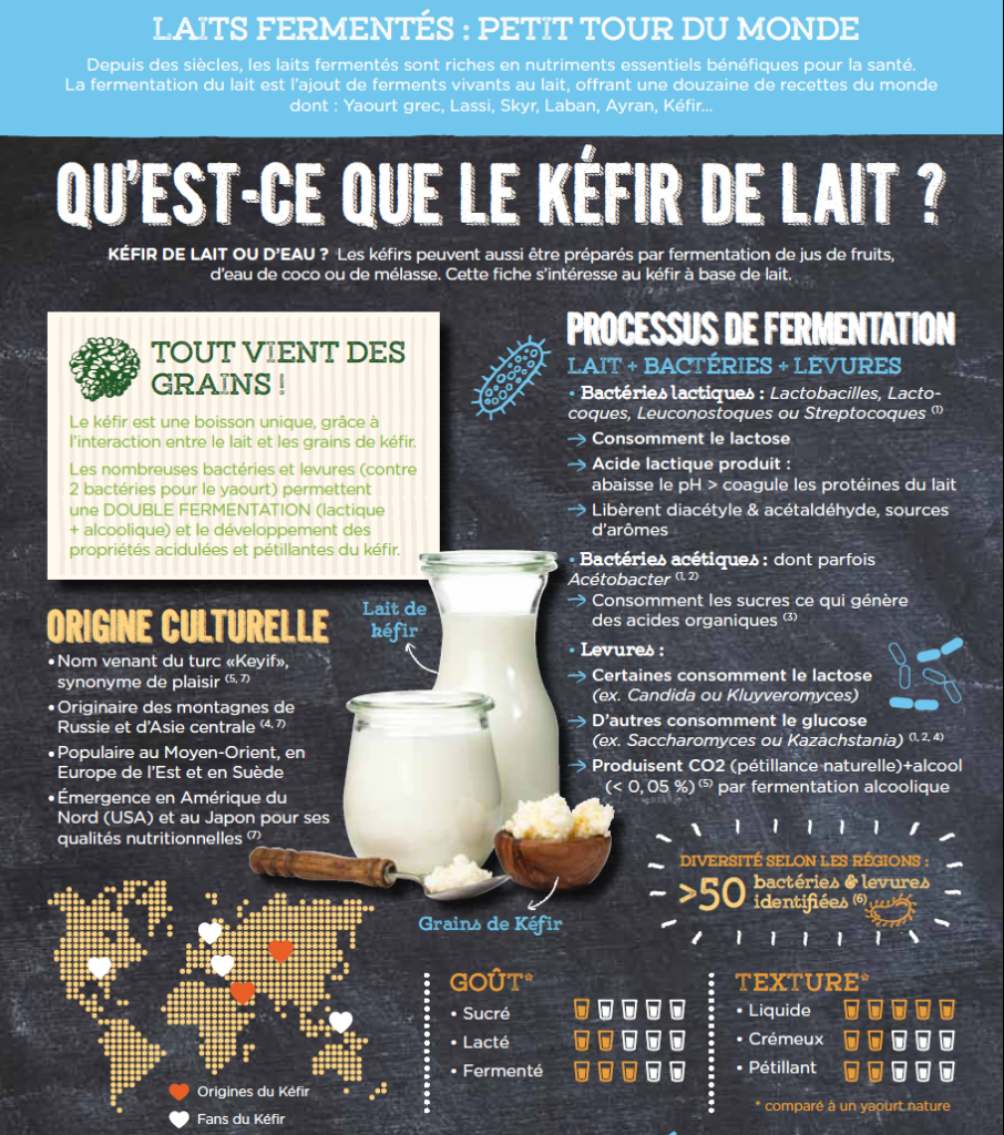 Préparer le Kefir de Lait 