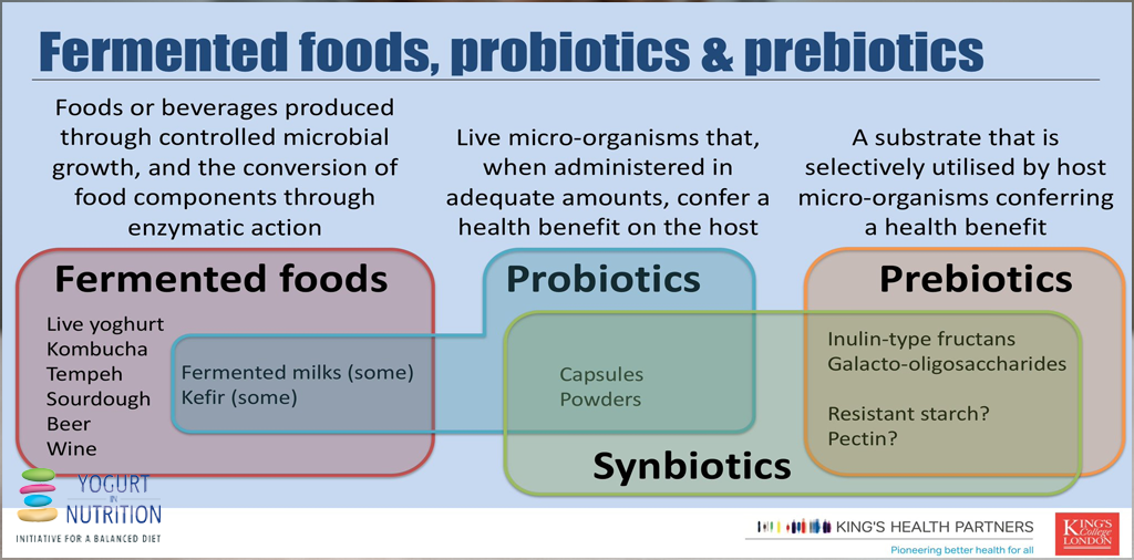 YINI GMFH Fermented foods, probiotics and prebiotics