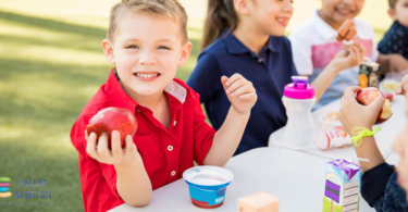 Dairy Consumption at Snack Meal Occasions and the Overall Quality of Diet during Childhood. Prospective and Cross-Sectional Analyses from the IDEFICS/I.Family Cohort