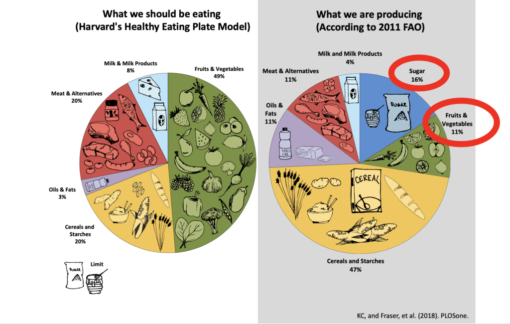 Jess Haines- How to achieve a sustainable diet - fig 1