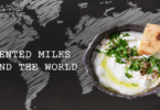 Fermented milk of the world : middle east and Africa - YINI