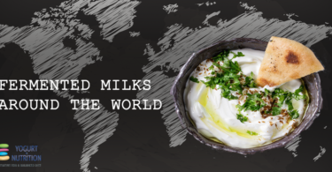 Fermented milk of the world : middle east and Africa - YINI