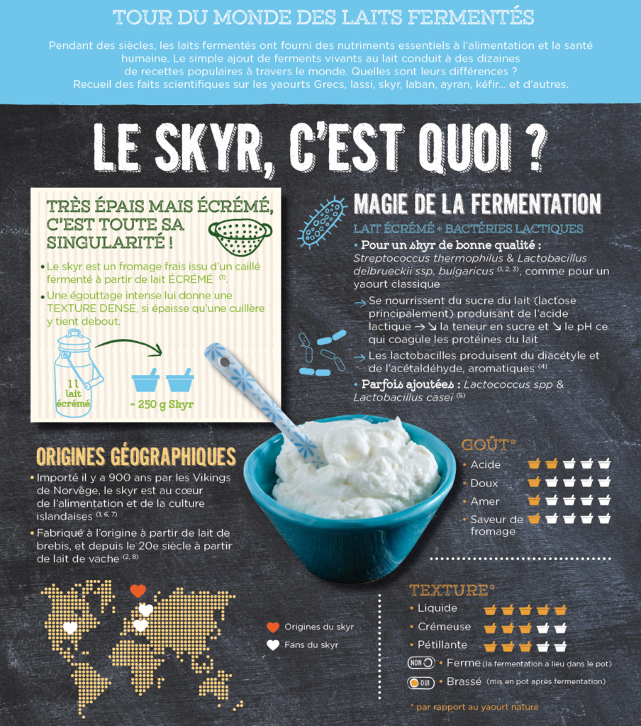 Le Skyr, c'est quoi? - YINI - part 1