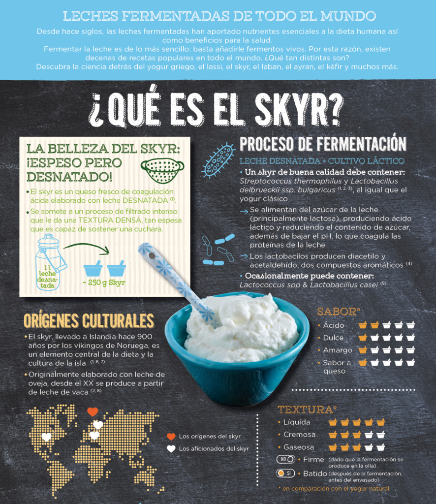 YINI - Que es el skyr? - part1