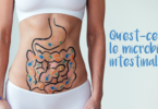 Qu'est ce que le microbiote intestinal ? YINI