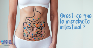 Qu'est ce que le microbiote intestinal ? YINI