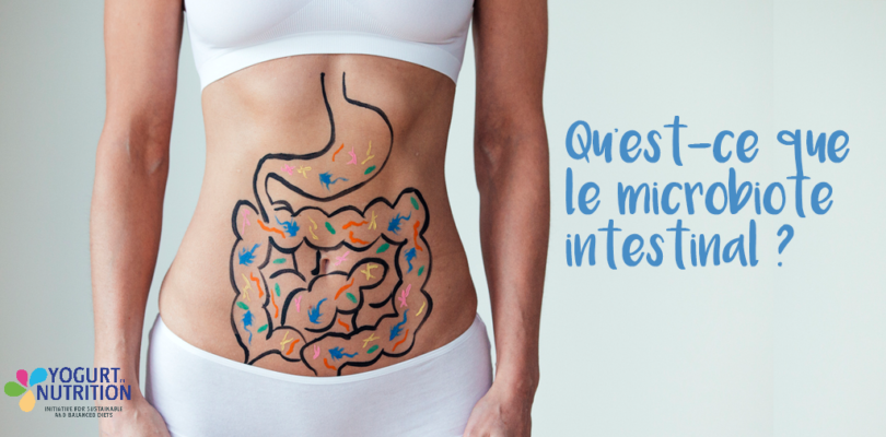 Qu'est ce que le microbiote intestinal ? YINI