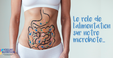 le role de l'alimentation sur le microbiote intestinal - YINI