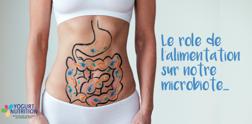 le role de l'alimentation sur le microbiote intestinal - YINI