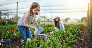 An agenda to achieve sustainable healthy diets for children - YINI