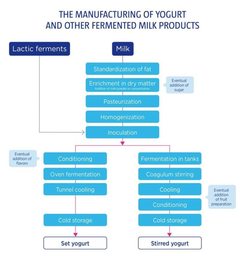 How Is Yogurt Made Yogurt In Nutrition