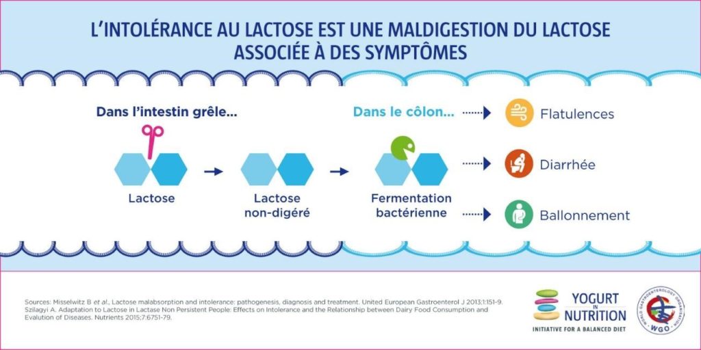 intolerance au lactose - symptomes - yaourt et nutrition