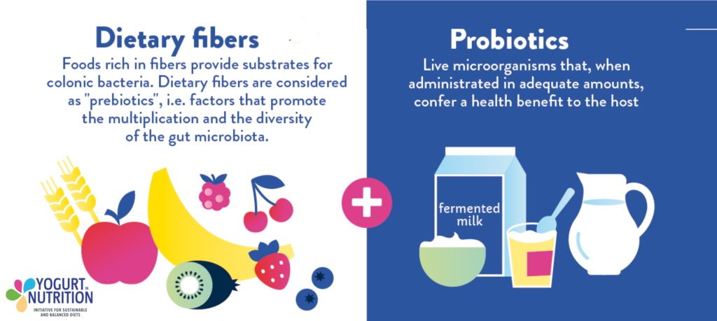 Combine fibers and probiotics for gut health - YINI