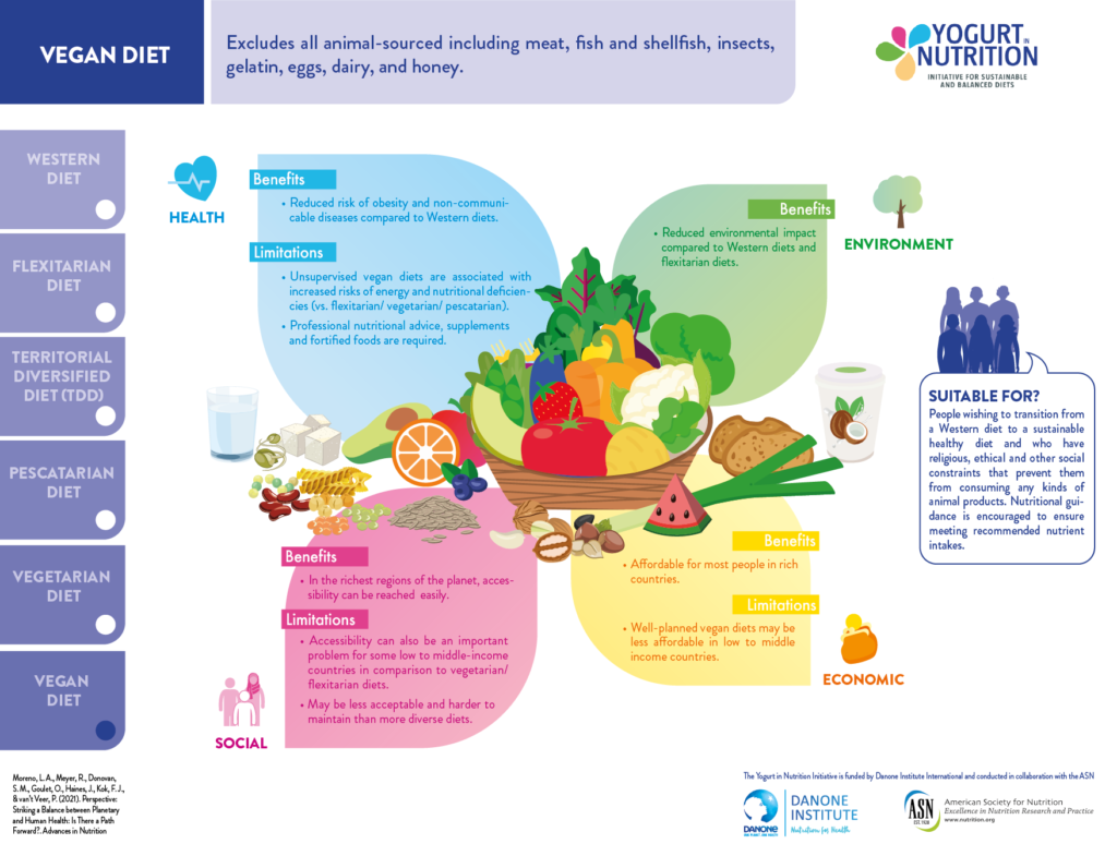 What is a vegan diet? - YINI