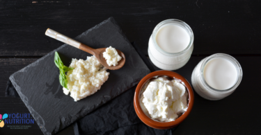 Why are fermented foods good for you? - YINI