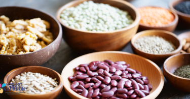 Plant-based or animal-based proteins: differences? - YINI
